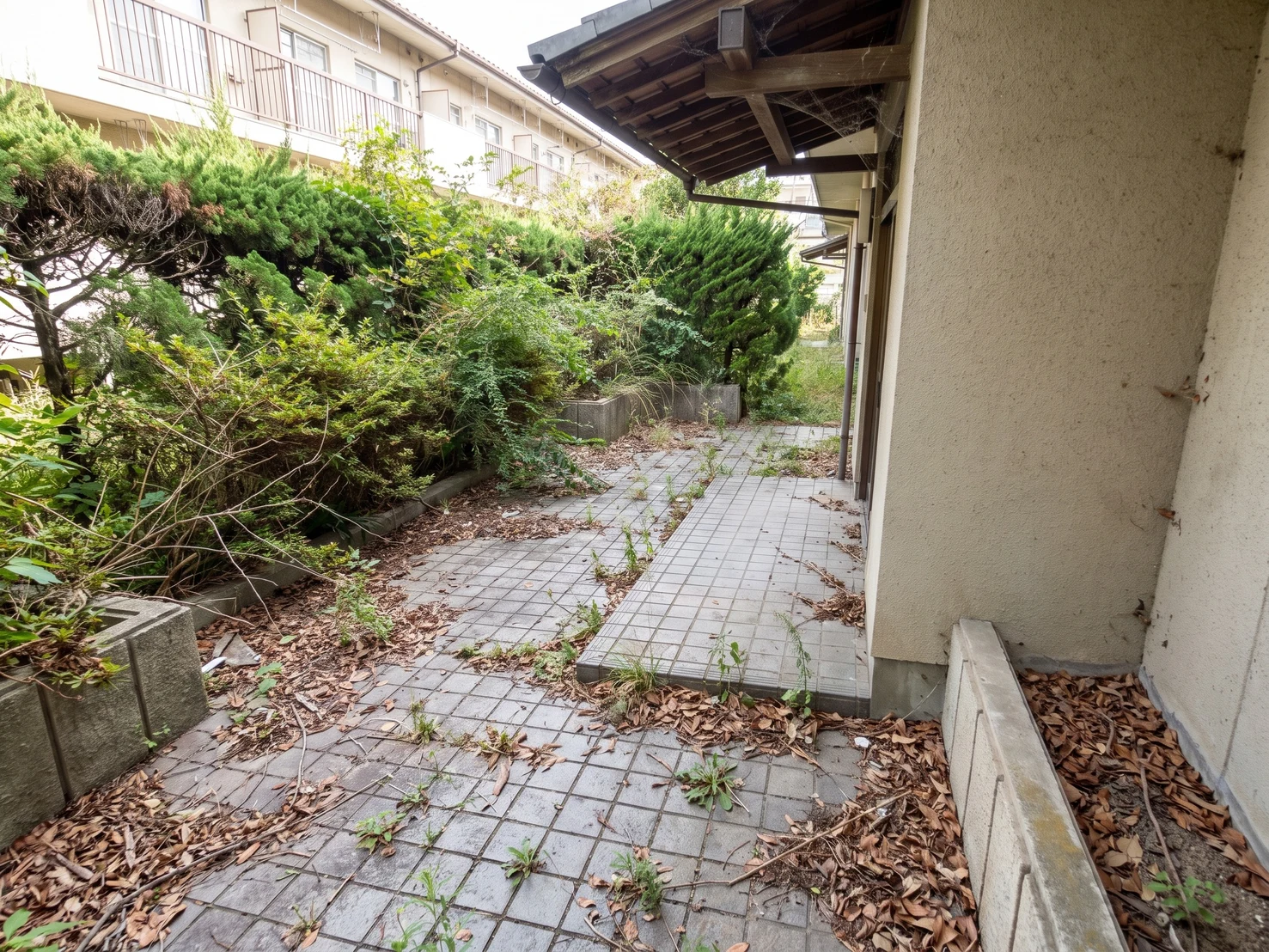 植栽メンテ・外構清掃 before